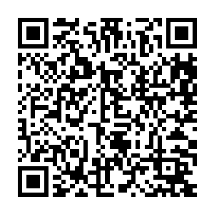 凤羽珩总算是明白为啥看热闹的人任凭那船老板如何的赶都赶不回去二维码生成