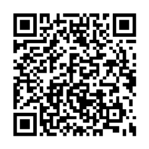 凤羽珩有些不敢相信自己居然还有这么大的权力二维码生成