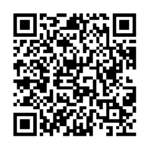 凤羽珩有的时候甚至会觉得跟天武配合起来坑人二维码生成