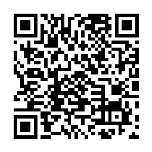 凤羽珩的目光却一直都在清乐身后那名红衣女子身上停留二维码生成