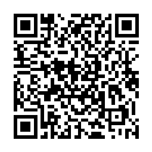凤羽珩瞬间就有一种想冲到凤府去把凤瑾元给剁了的冲动二维码生成