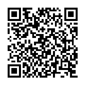 凤辰将电话挂了之后就开始吩咐叶秋交代的事情二维码生成