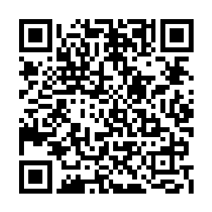 凭什么一个小小的混沌星域还能帮助晋升到神境二维码生成