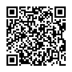 凭什么他的导师要向这么一个毫无知名度的年轻人跪二维码生成