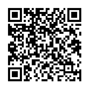 凭什么你做出悔婚这样大不孝的事情不但没人生你的气二维码生成