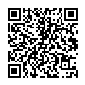 凭什么其中某一种排列组合诞生的多细胞聚合体可以称之为二维码生成