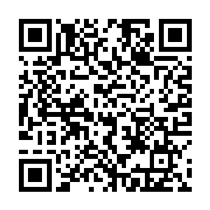 凭什么咱们根红苗正的国家栋梁只能玩玩小歌星小影星二维码生成