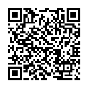 凭什么让我们打开箱子……你们不就是查车票的吗二维码生成