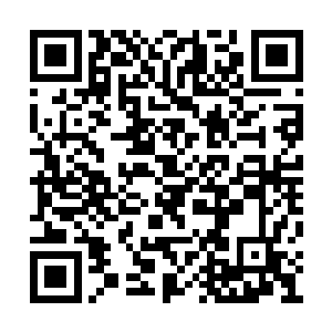 凭借其敏锐的感觉清楚的感觉到一丝危险的气息二维码生成