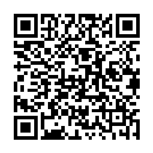 凭借柳逸尘在游戏界直播界和网文界的惊人影响力二维码生成