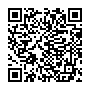 凭借玄钰之剑和大地之势外面的气宗妖兽根本就抵挡不住二维码生成