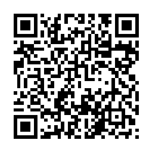 凭借现在的修为和能力龙傲天根本就无法摆脱他们二维码生成