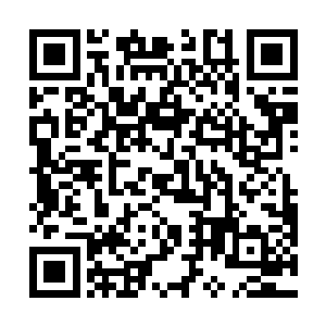 凭借的就是自己的一双拳头和使得很好的一手藤牌刀法二维码生成