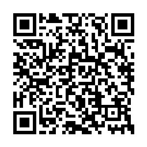 凭借着那能让人失去力量的东西乌溪族没少作恶二维码生成