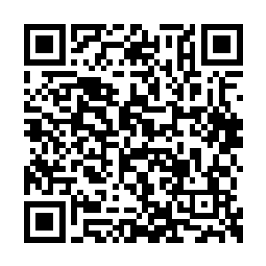 凭借自身的特殊体质瞒过那些阴森可怖的三头犬二维码生成