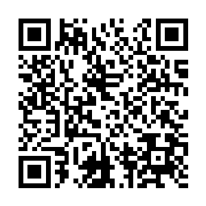 凭借这一柄仅仅只是下品法器的飞剑根本无法破防二维码生成