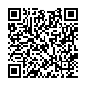 凭借这些表现荣光赢得了不少圣保罗球迷们的喜爱二维码生成