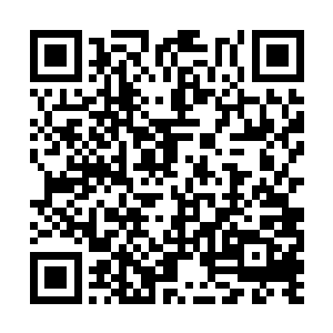 凭借这身花哨的活计很是攻克了几个女同学的身体二维码生成