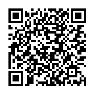 凭借金灵珠完全可以压制一个神魄境七重天以上的武者二维码生成