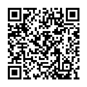 凭凡木现在的积分只有秦宇一个人压了对方一筹二维码生成