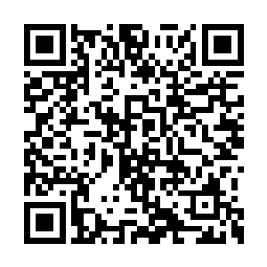 凭我一个人的力量肯定无法让金稞种满整个世界二维码生成