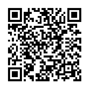 凭着七阶初期的境界便能轻松的灭杀九阶的海兽二维码生成