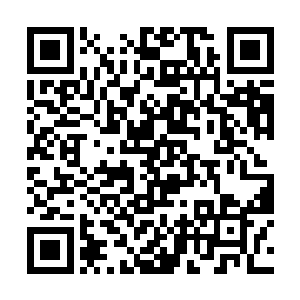 凭着上古遗迹中的安排就足以杀死苍茫大陆上的修士二维码生成