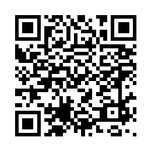 凭着他本身的财产加上在国外流亡募集的财力二维码生成