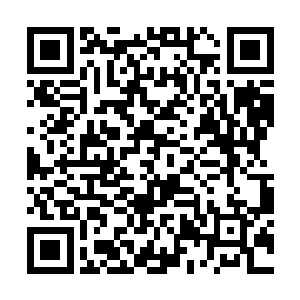 凭着我的天才资质会达到所有修士没有达到过的境界二维码生成