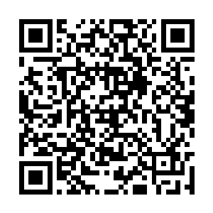 凭着这鲜艳的光环就可以将无数同辈的人给比下去二维码生成