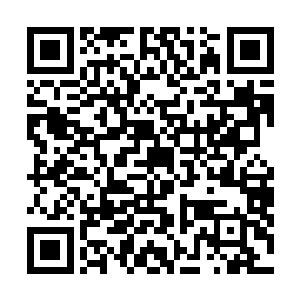 凭秦薇薇在南宣的地位真要下定决心对付自己有的是办法二维码生成