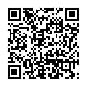 凭空出现了一层层由灵光凝聚而成的幕纱状的阵纹二维码生成