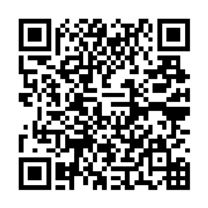 凭自己大成境界根本打不过云霄派飞升境界的长老二维码生成