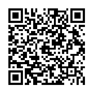 凯丽和奥菲莉娅同事惊讶地将苏凡的话重复了一遍二维码生成