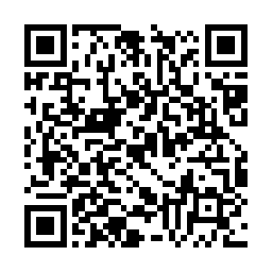 凯兰崔尔就目睹了一个巅峰她一切观念的壮观情形二维码生成