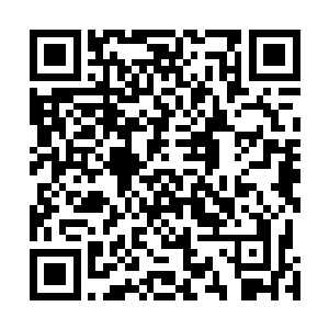 凯瑟琳的父母对于凯瑟琳与高扬之间有什么关系不太清楚二维码生成