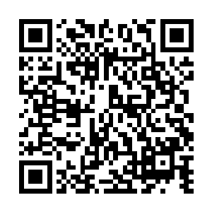 凯莉一出来之后立即被眼前的雄伟壮观的城池给震撼住了二维码生成