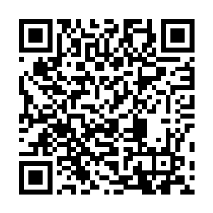凰等人出现的时候便是看到了被血完全浸透了的血红沙滩二维码生成
