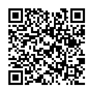 凶残地将我身后的铜棺世界砸开了一道巨大的裂缝二维码生成