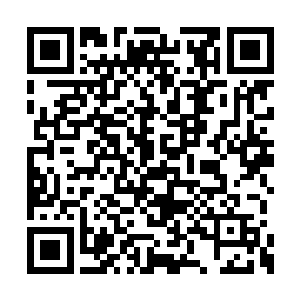 出一个笼子竟然都要耗费一颗无比珍贵的破厄丹二维码生成