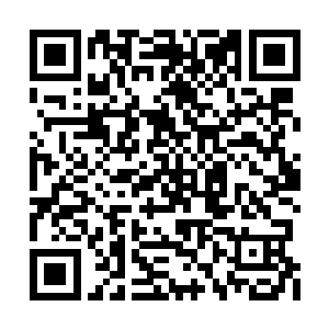 出一次任务就能获得几百上千万的那至少是四星二维码生成