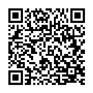 出个国包下整个头等舱……突然觉得当人时候的自己略显失败二维码生成