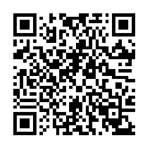 出了它的全貌－－那是一台15米高的机器人与尸兄的合体二维码生成