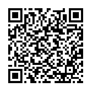 出交通事故还有百分之五十以上的几率能够活下来二维码生成