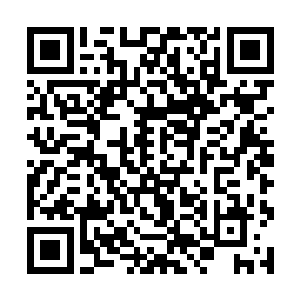 出任恒阳集团总经理助理的唐伊诺禁不住苦笑了一声二维码生成