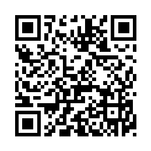 出剑的速度比根系长出来的速度要快上百倍二维码生成