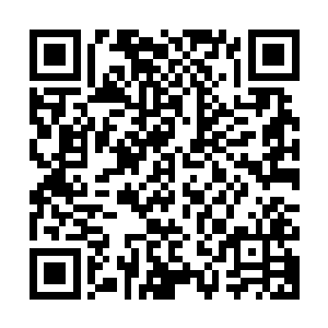 出卖了他真正的目的……他是故意让奇美拉将元神之力抽出来的二维码生成