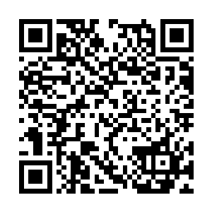 出去一个就让道君打爆一个……这级别不要脸起来二维码生成