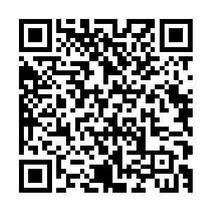 出发时严道纶与他说的任务是暗中搜集有关华夏军的真实情报二维码生成