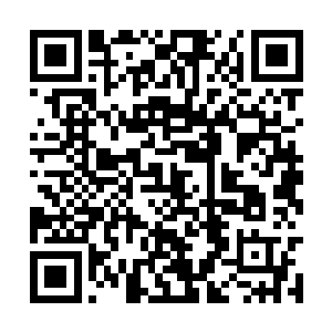 出手的是渺恒尊者与一些不明身份的顶尖金仙强者二维码生成
